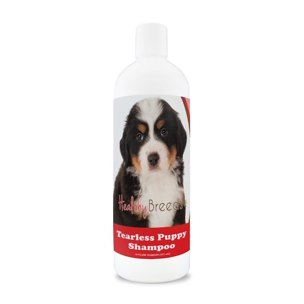 Pamperedpets Bernese Mountain Dog Tearless Puppy Dog Shampoo PA3492000 - main